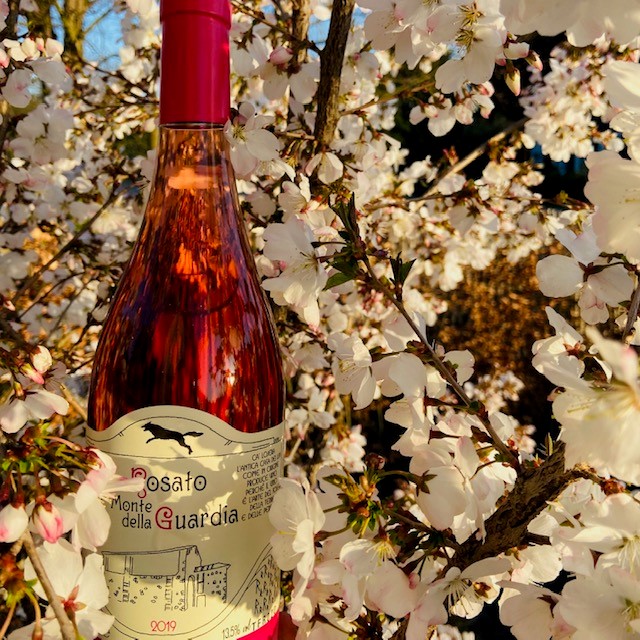 foto rosato!
